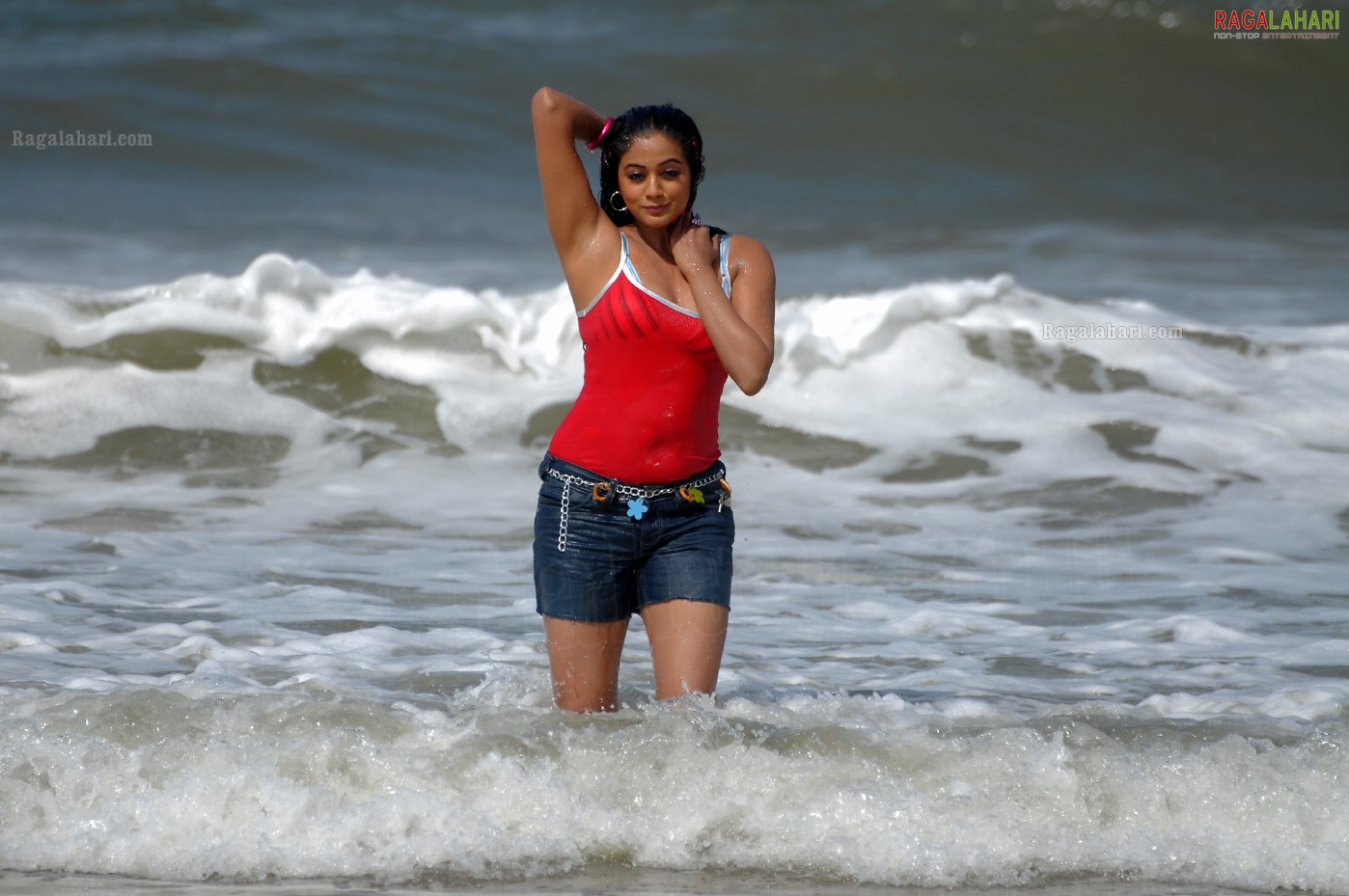 Priyamani in Beach Costumes, Photo Gallery