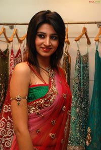 Shamili in Embellished Saree