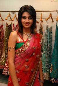 Shamili in Embellished Saree