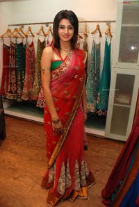 Shamili in Embellished Saree