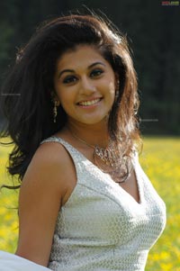 Taapsee Photo Gallery from Vachadu Gelichadu