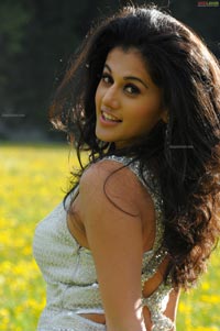 Taapsee Photo Gallery from Vachadu Gelichadu