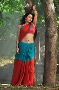 Asha Shaini Aakasamlo Sagam Spicy Photos