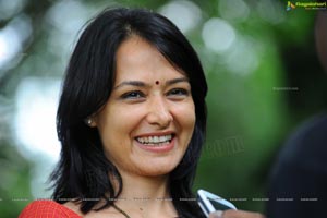 Beautiful Amala Akkineni High Definition