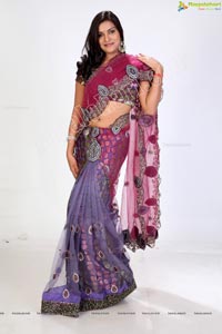 Beautiful Indian Women in Saree