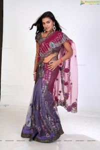 Beautiful Indian Women in Saree