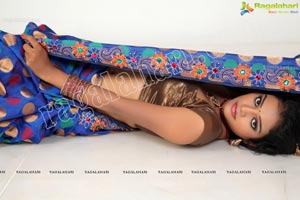 Indian Female Model Saree Photos