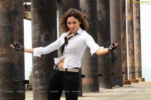 Tamanna Rebel Posters