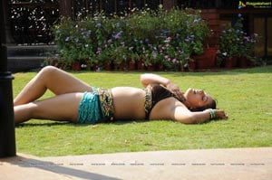 Anjali Dwivedi Hot Photos