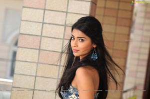 Shriya HD Wallpapers