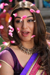 Hansika in Theeya Velai Seiyyanum Kumaru