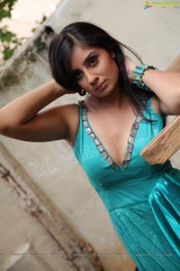 Bhanu Sri Mehra Hot Photos