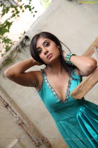 Bhanu Sri Mehra Hot Photos