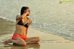 Indian Model Keerthi Hot Photos