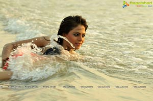 Indian Model Keerthi Hot Photos