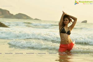 Indian Model Keerthi Hot Photos