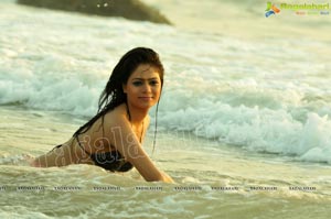 Indian Model Keerthi Hot Photos