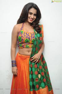 Dimple Chopade Hot Photos