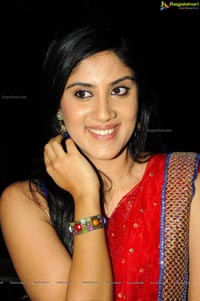 Dhanya Balakrishna in Half Saree