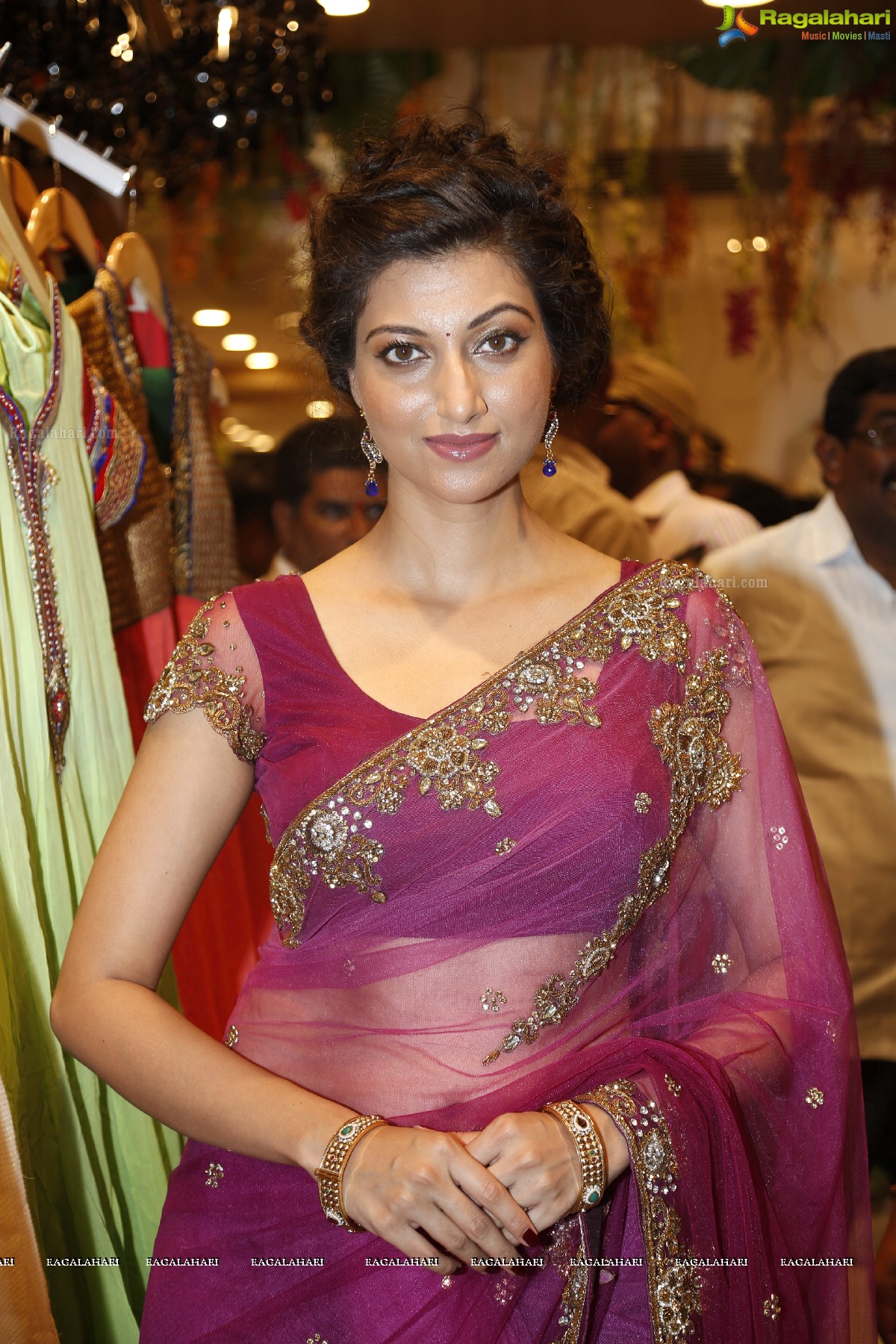 Hamsa Nandini