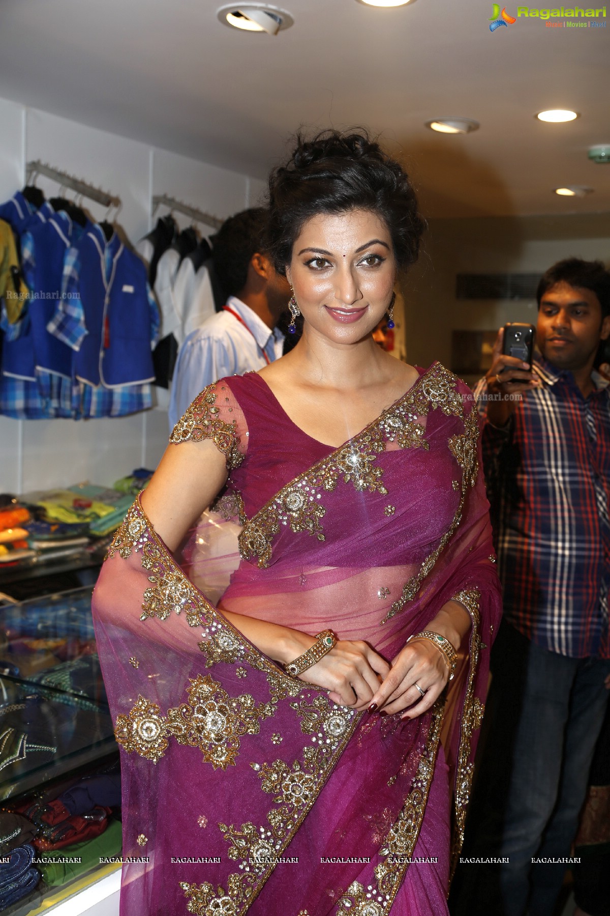 Hamsa Nandini