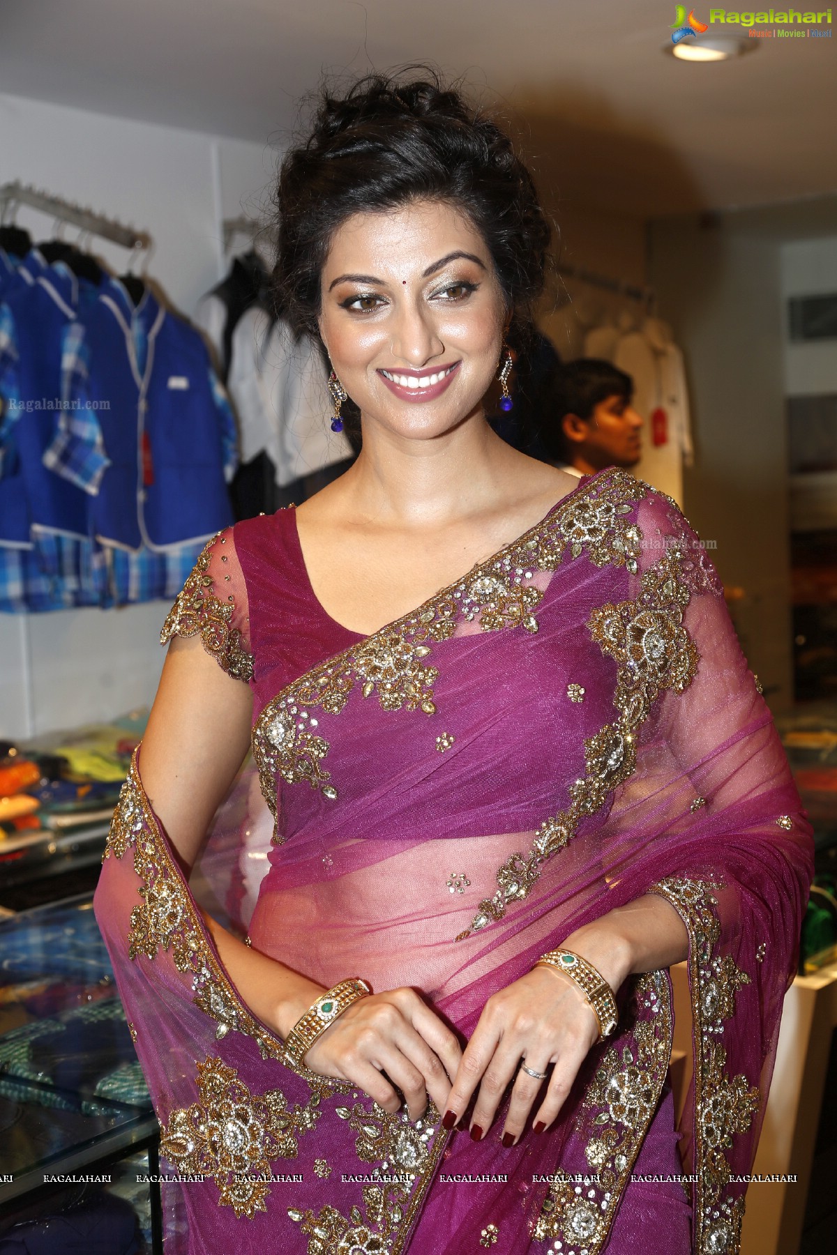 Hamsa Nandini