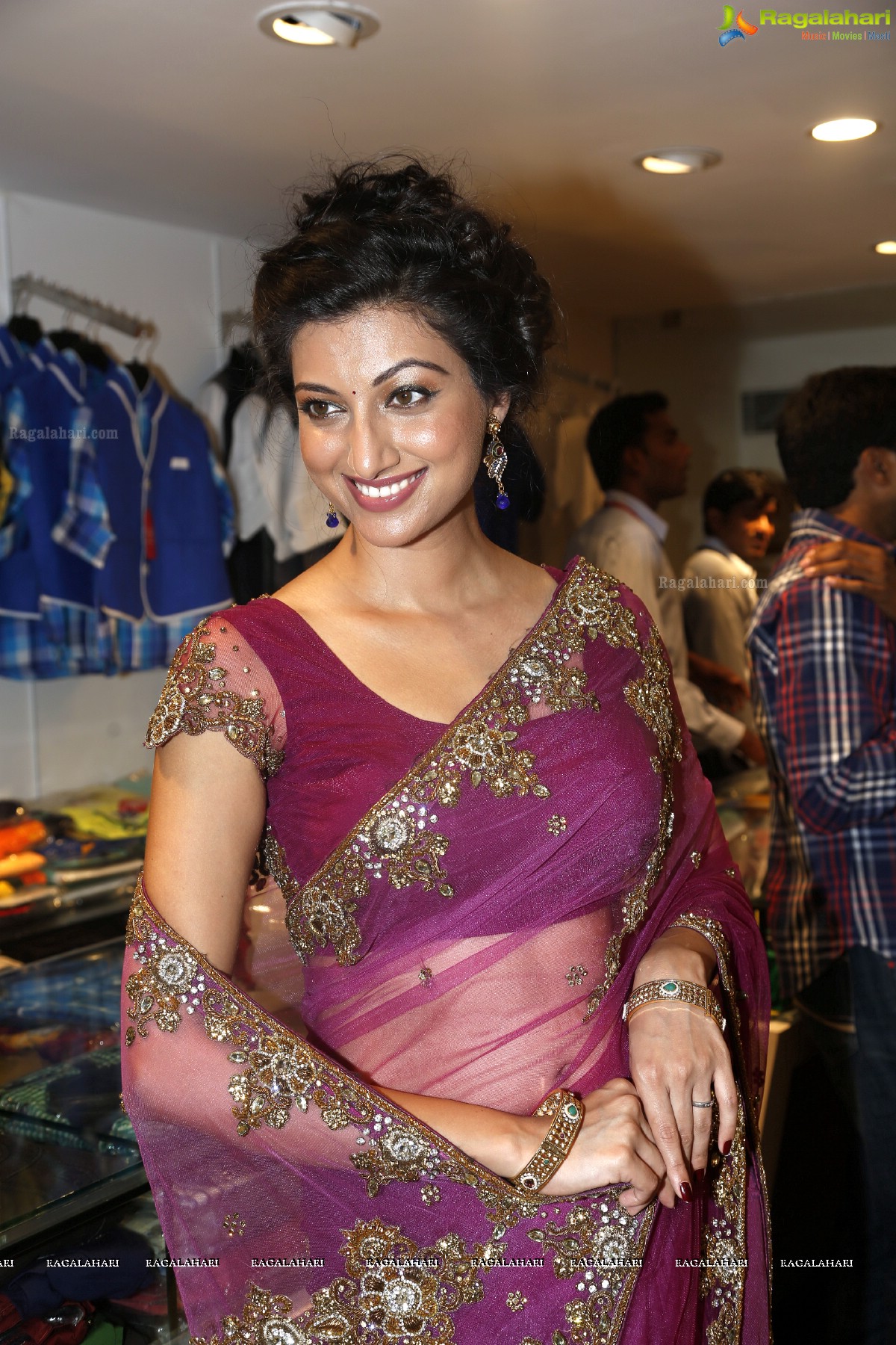 Hamsa Nandini