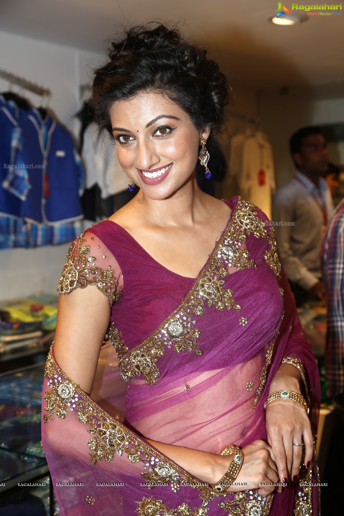 Hamsa Nandini