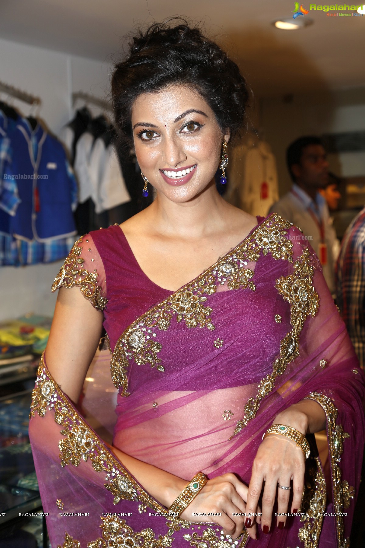 Hamsa Nandini