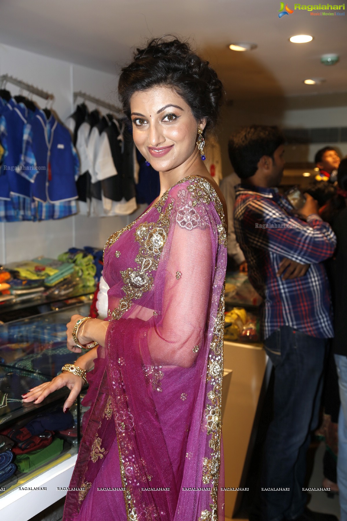 Hamsa Nandini