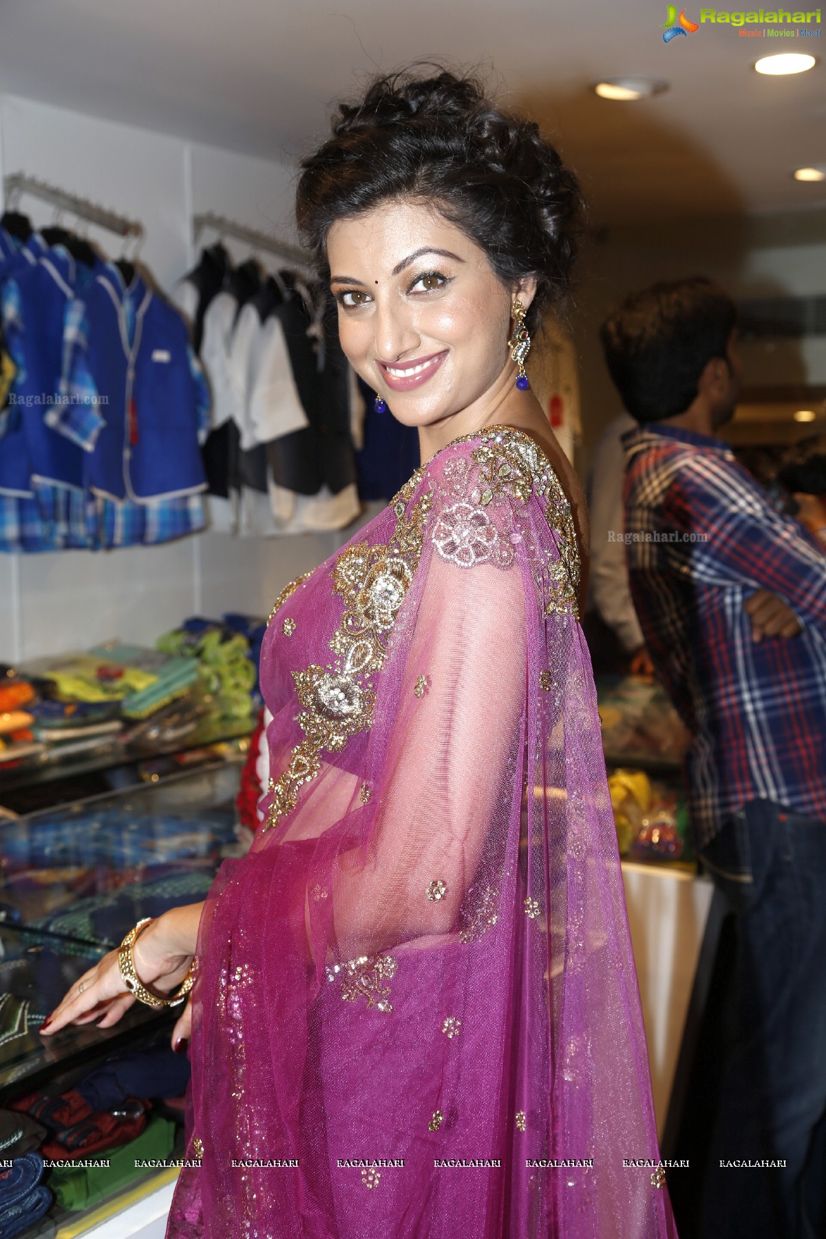 Hamsa Nandini