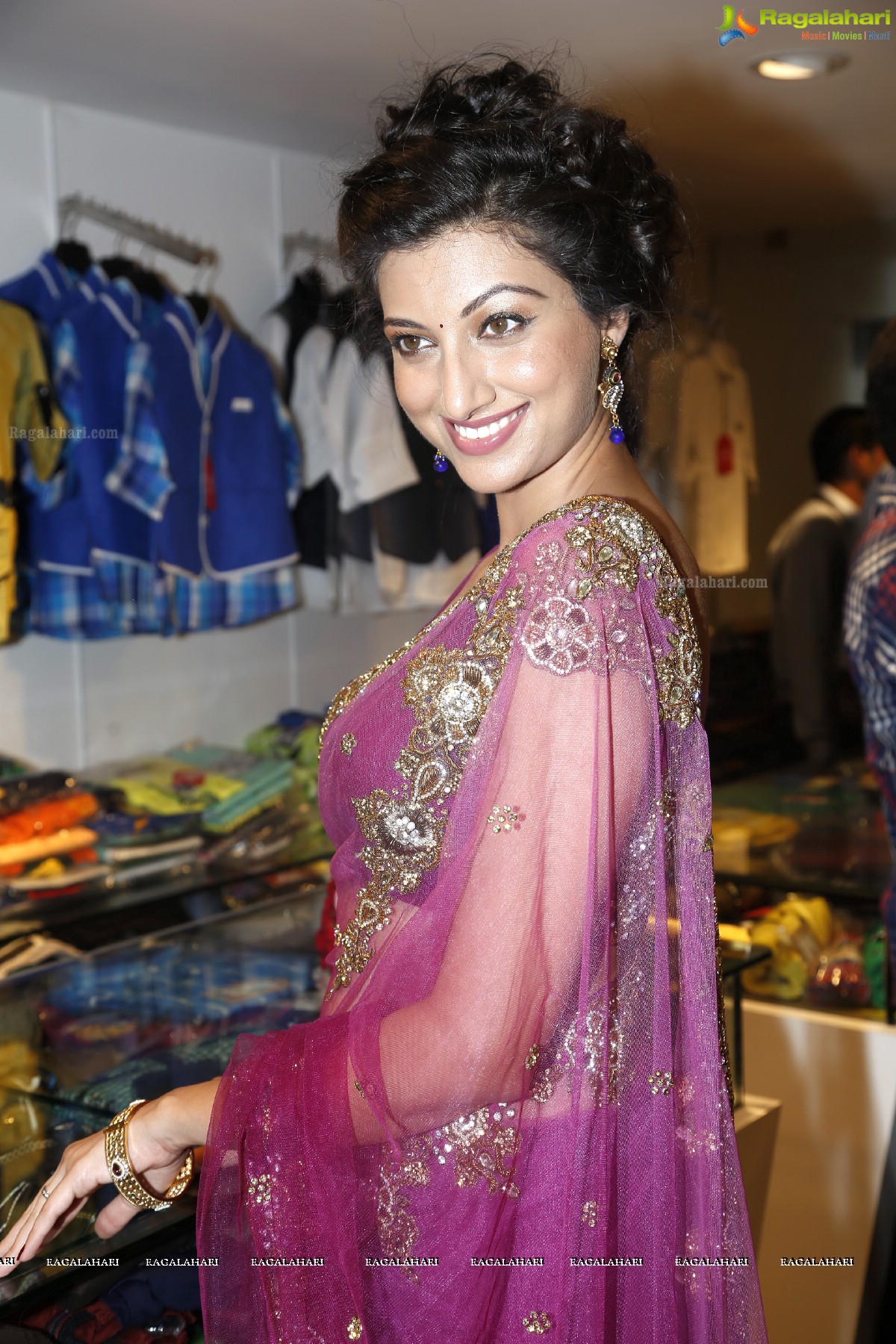 Hamsa Nandini