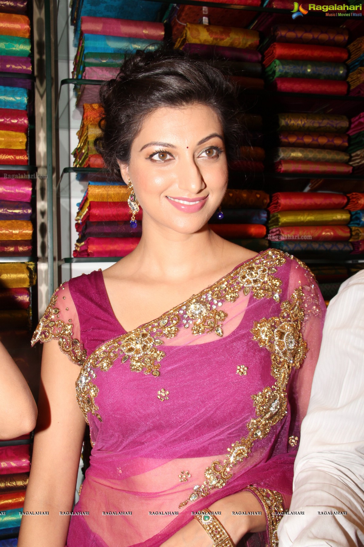 Hamsa Nandini