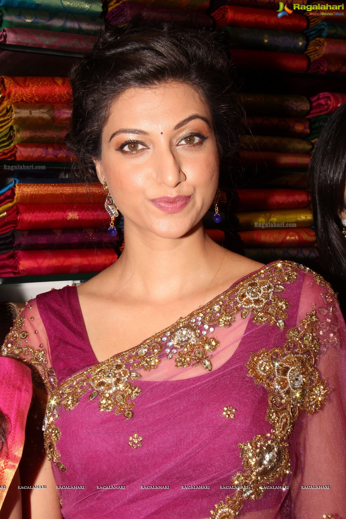 Hamsa Nandini