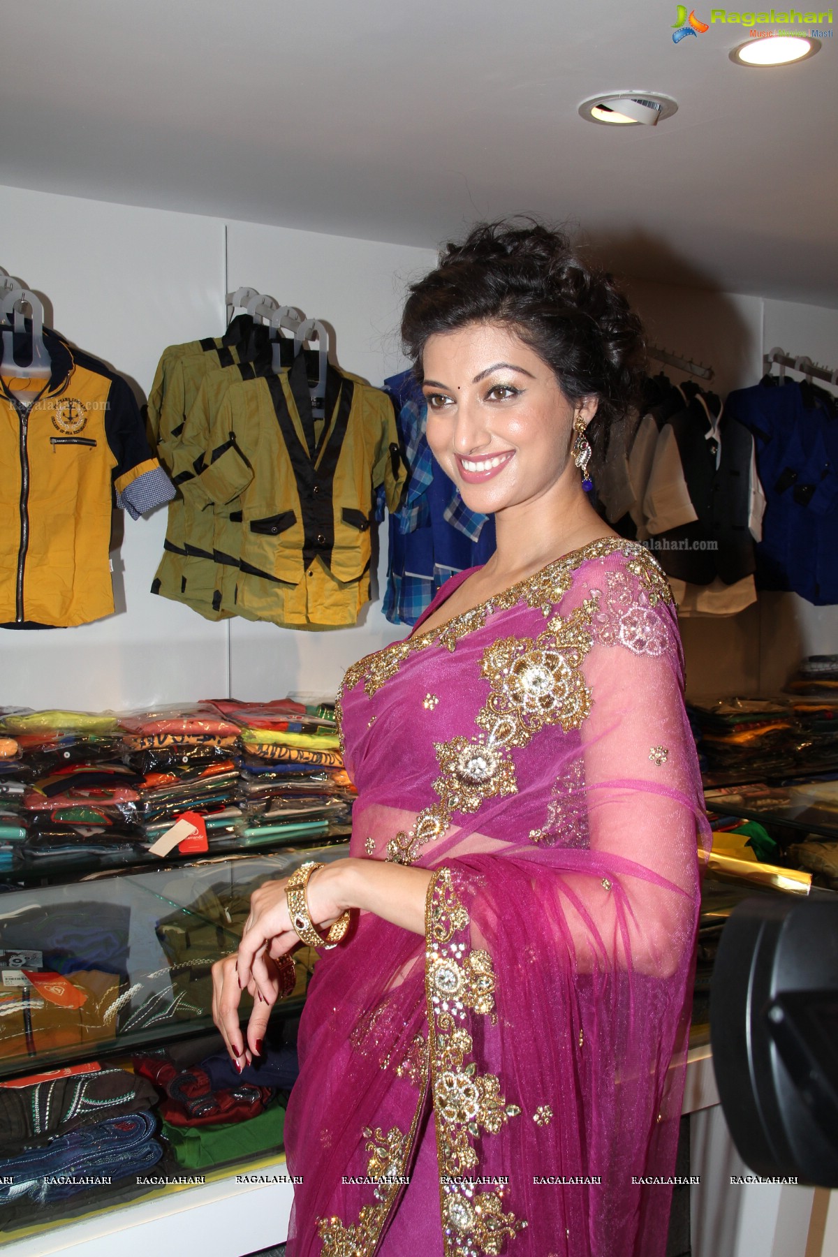 Hamsa Nandini