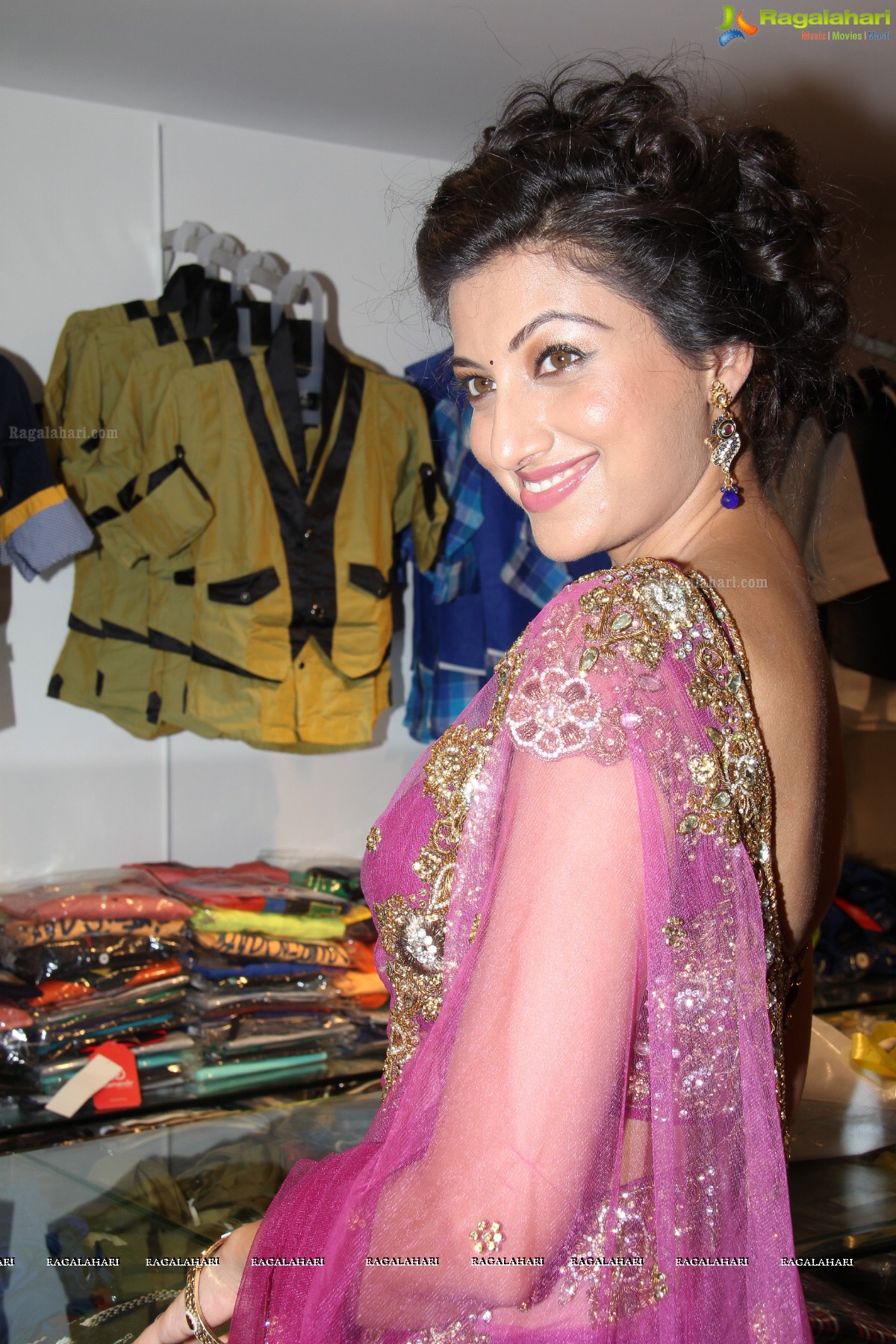 Hamsa Nandini