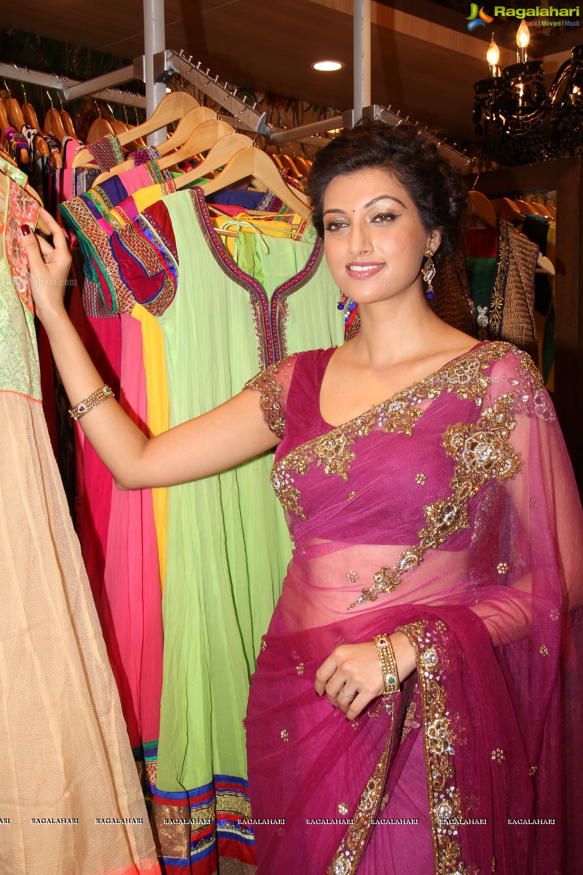 Hamsa Nandini