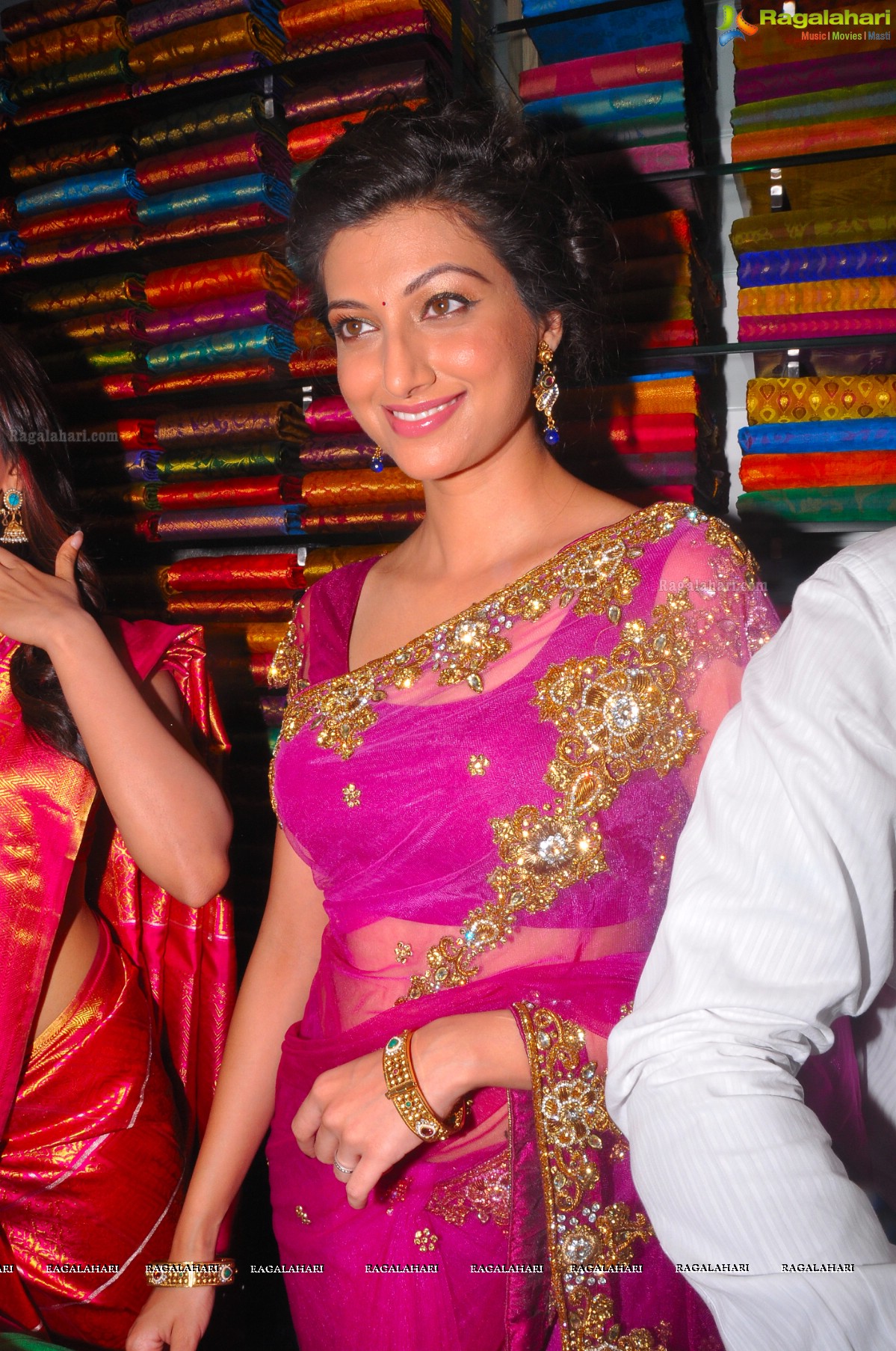 Hamsa Nandini