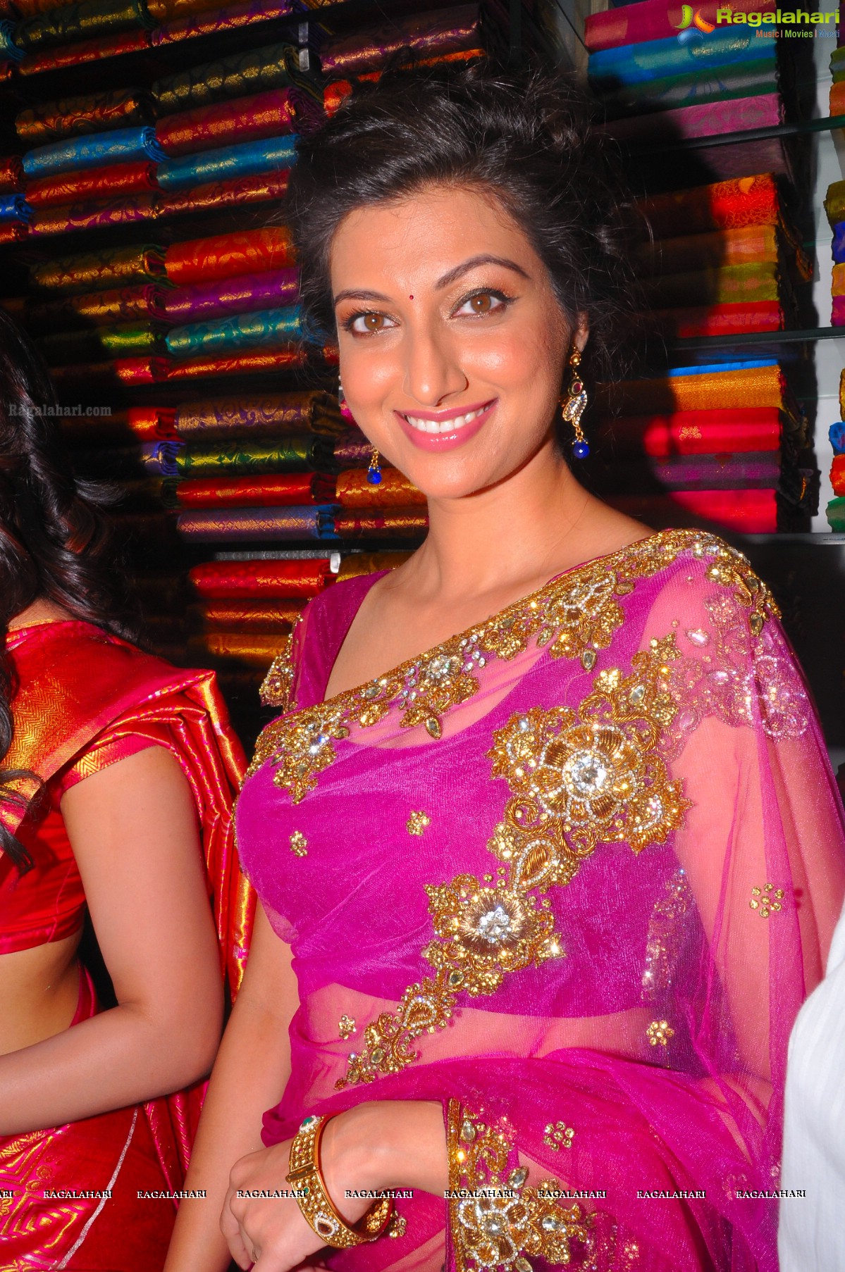 Hamsa Nandini