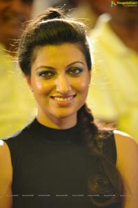 Hamsa Nandini Ramayya Vastavayya Audio