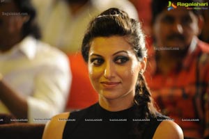 Hamsa Nandini Ramayya Vastavayya Audio