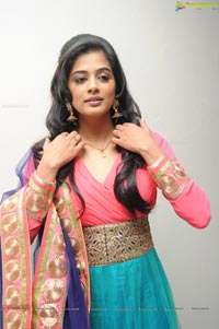 Priyamani at Chandee Platinum Disc