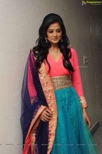 Priyamani at Chandee Platinum Disc