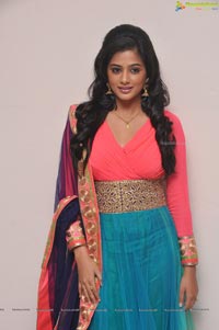 Priyamani at Chandee Platinum Disc