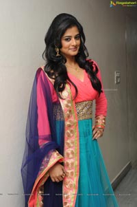 Priyamani at Chandee Platinum Disc