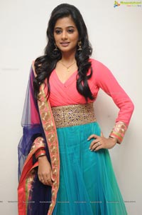 Priyamani at Chandee Platinum Disc