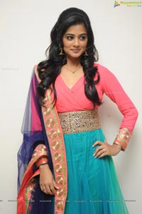 Priyamani at Chandee Platinum Disc