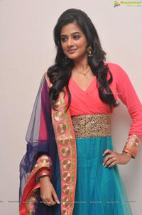 Priyamani at Chandee Platinum Disc