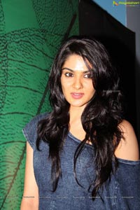 Sakshi Chowdary at Big Green Ganesha