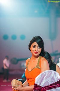 Shriya at SIIMA 2013 Photos